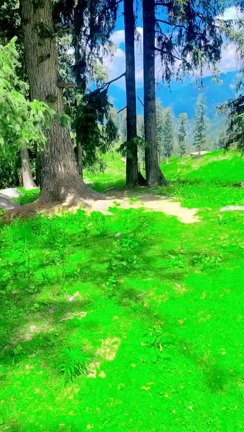 @shahzad_khan_yousafzai_👑🚗❤️