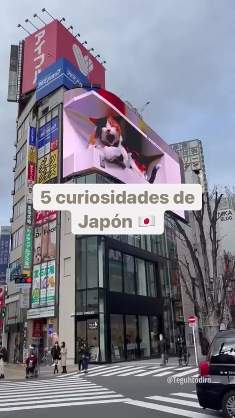 @EpiccViajes