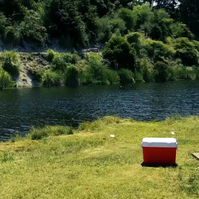 @Meftun