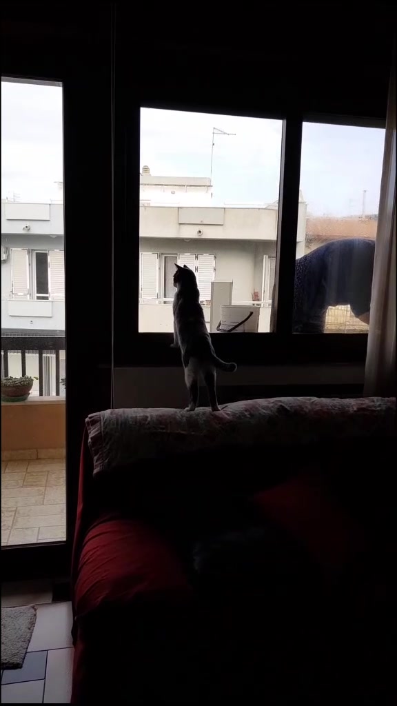 @Serena Amatu