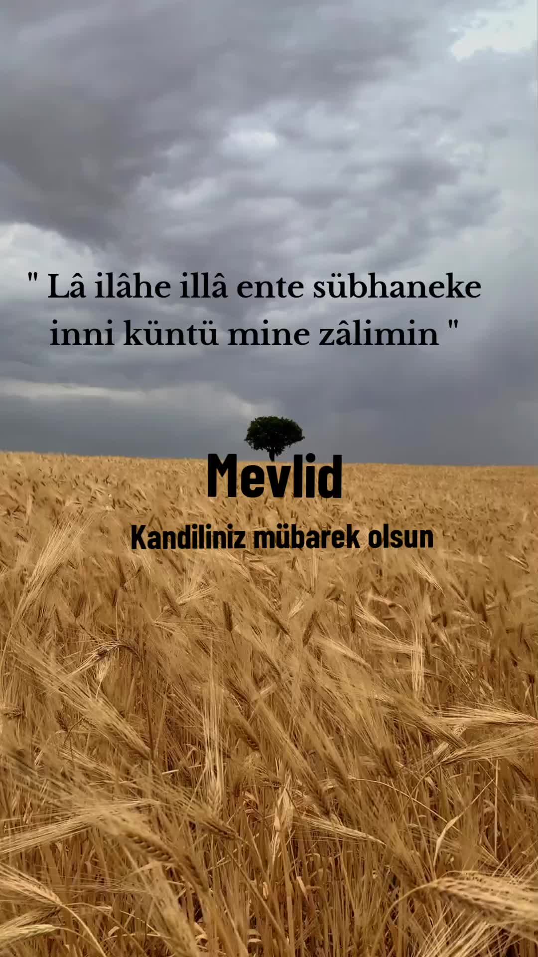 @tekbirr_Allah