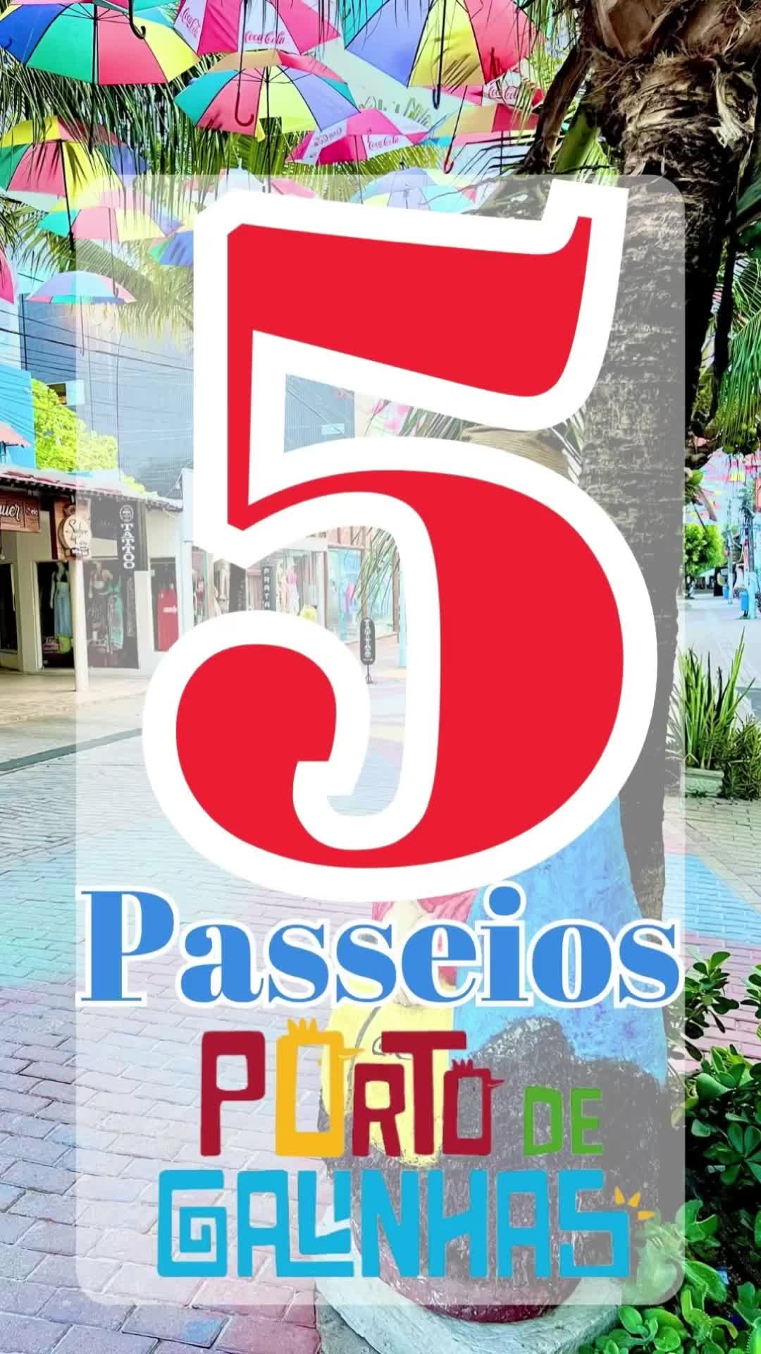 @5amigos_tour