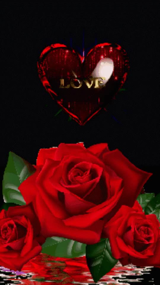 @Mubashir Ali