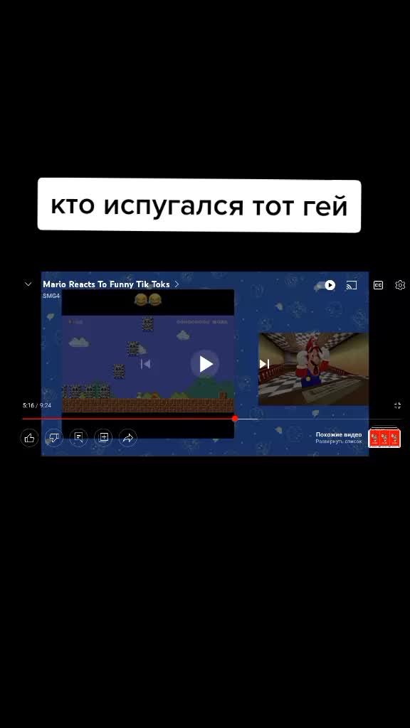 @Аниматор •^•