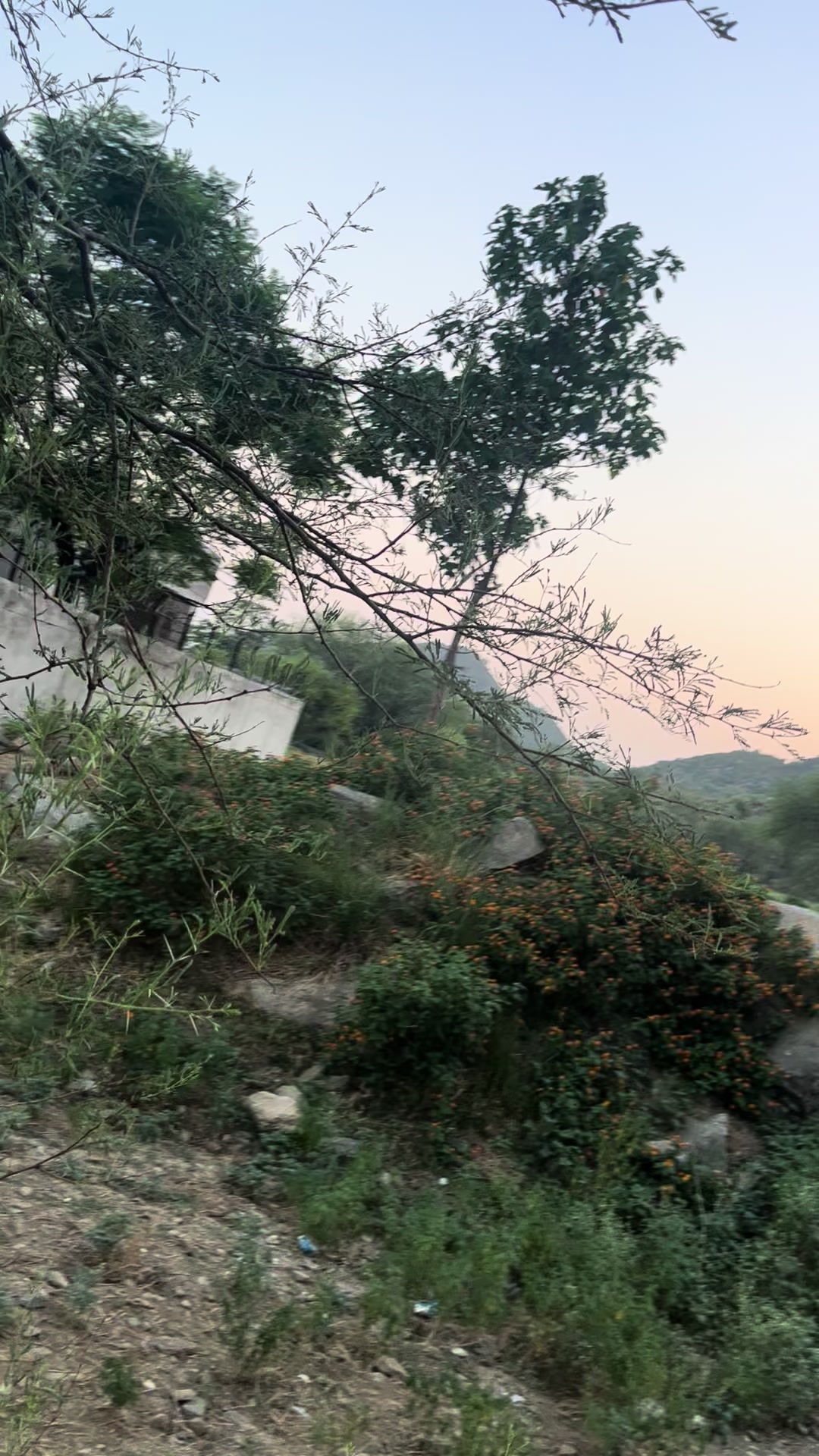 @🇸🇦دكتورة زينب🇸🇦