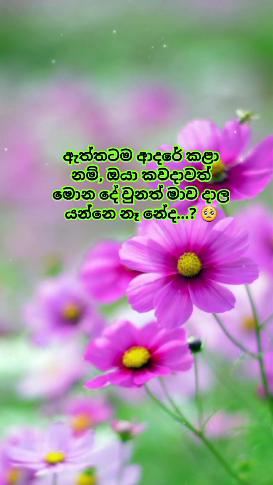 @Mashi
