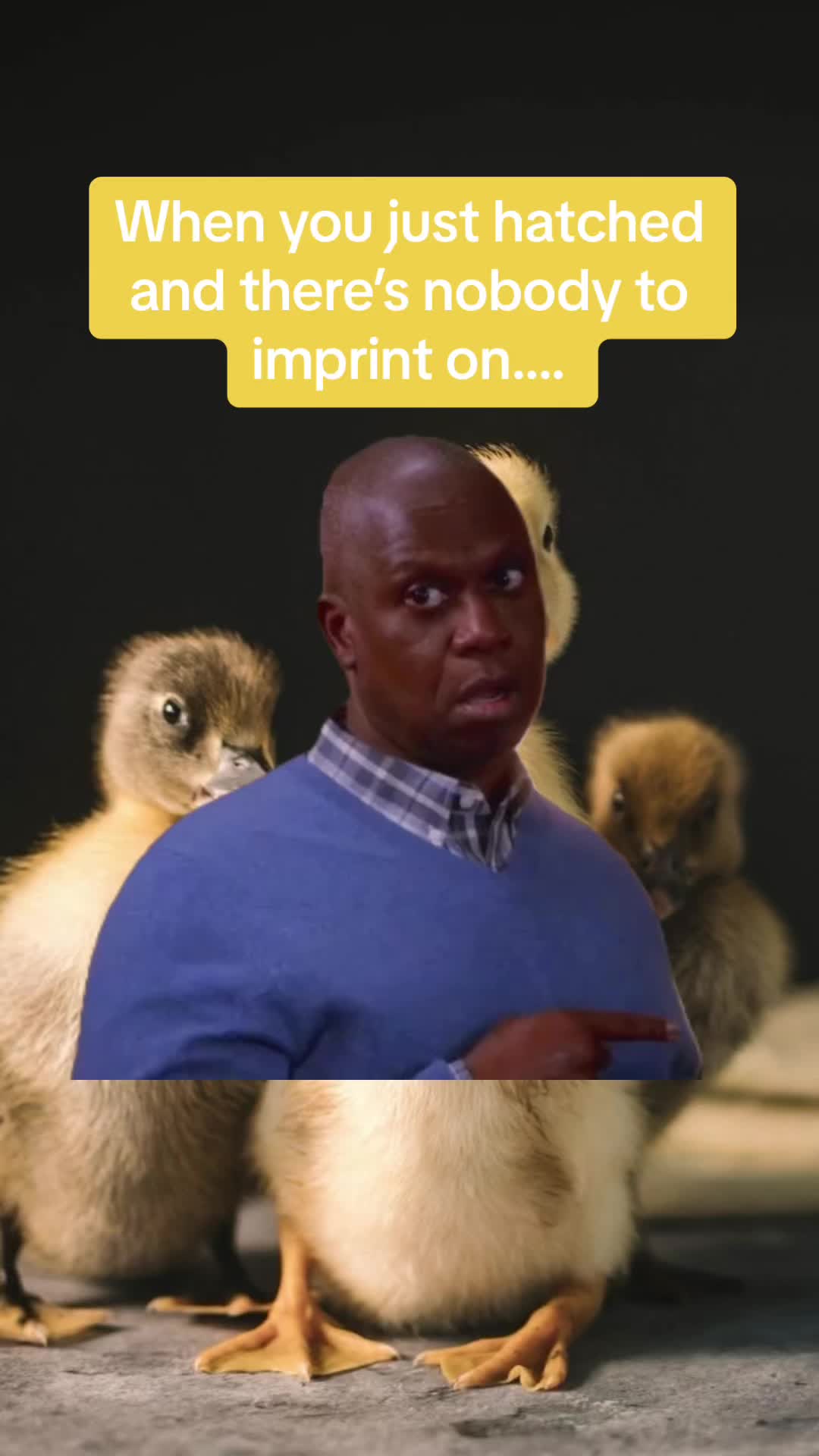 @GetAPBIOed