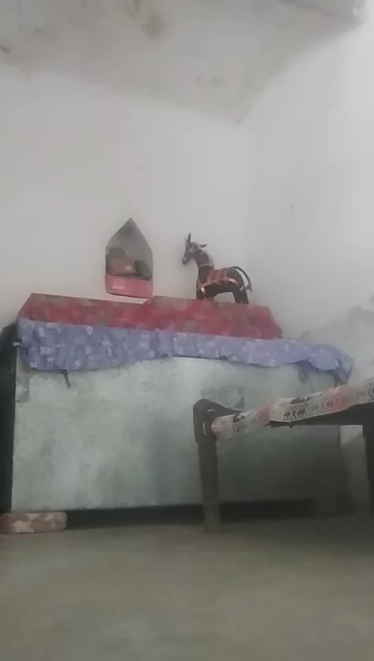 @ShravanKumarjaat