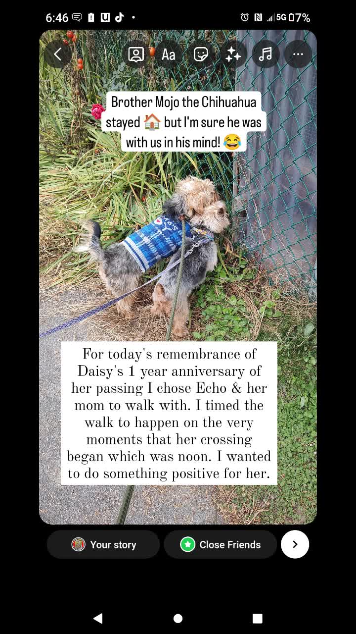 @TeachersPetSitting