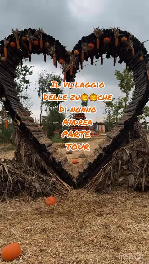 @beatrix883