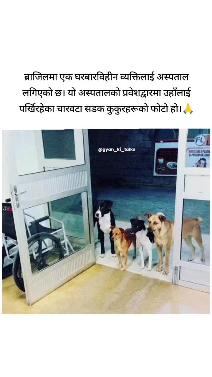 @Rabi Lama