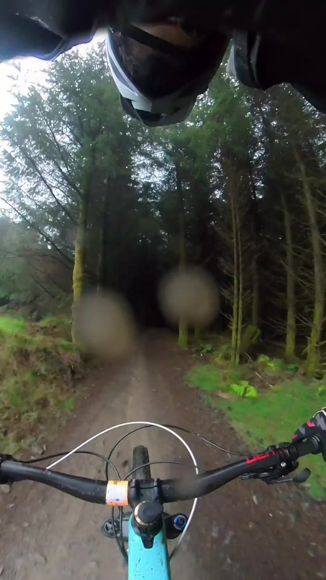 @Mtbers