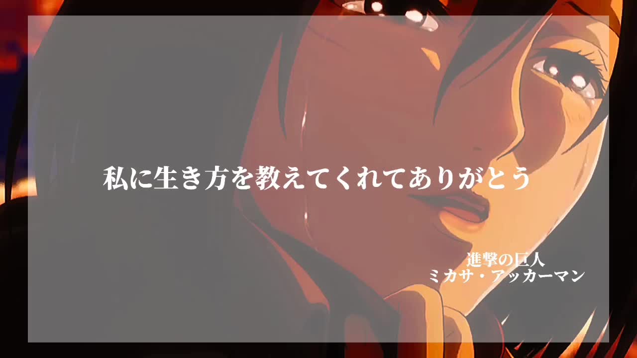 @わかめご飯美味しい🍅🦖