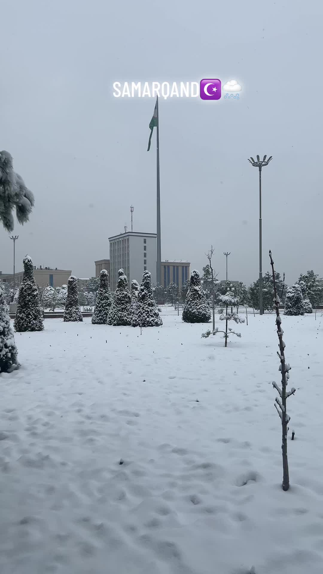 @Afzalshoh