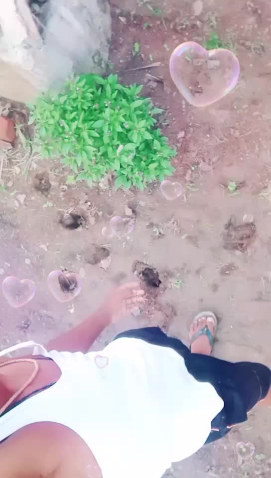 @Vinay 2217