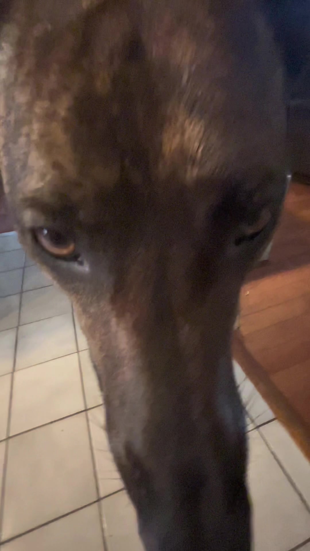@Bea
