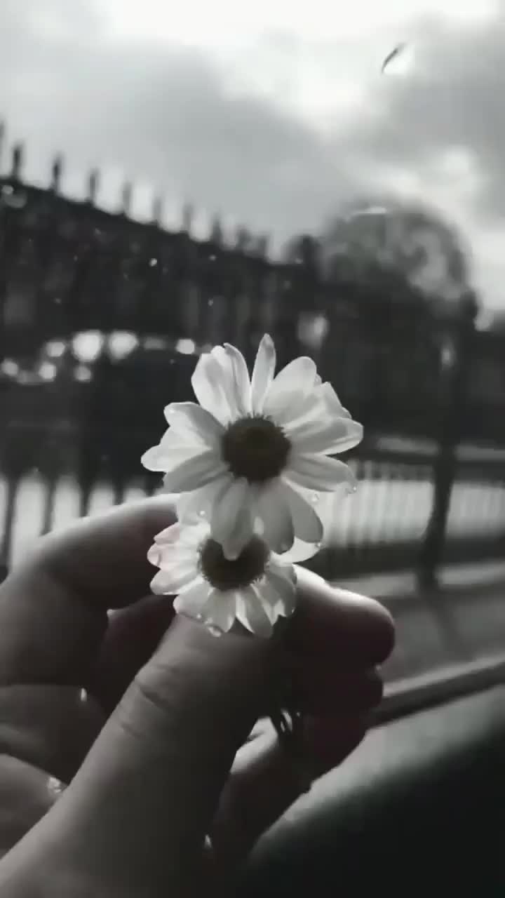 @emirah esgerli