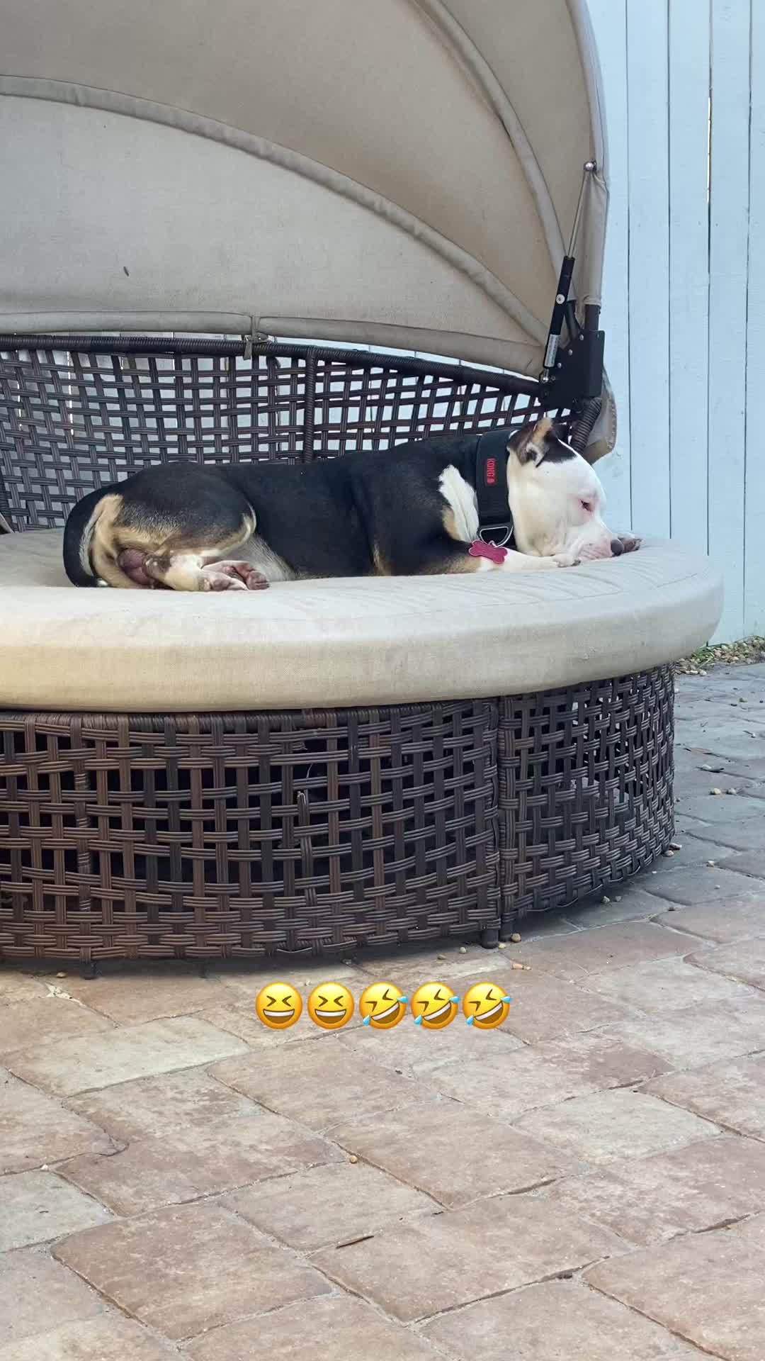 @chinomendezbully