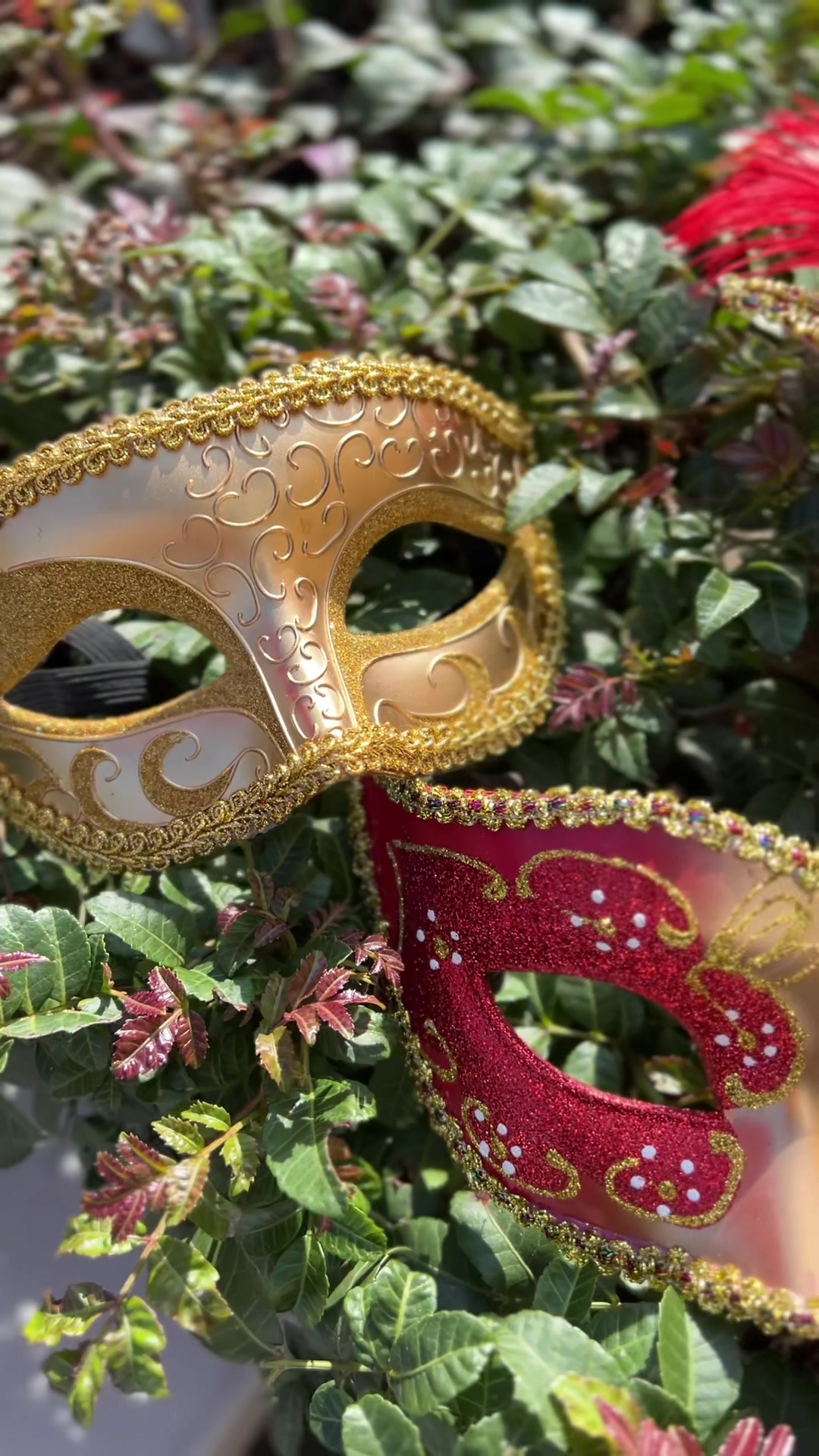 @Beyond Masquerade