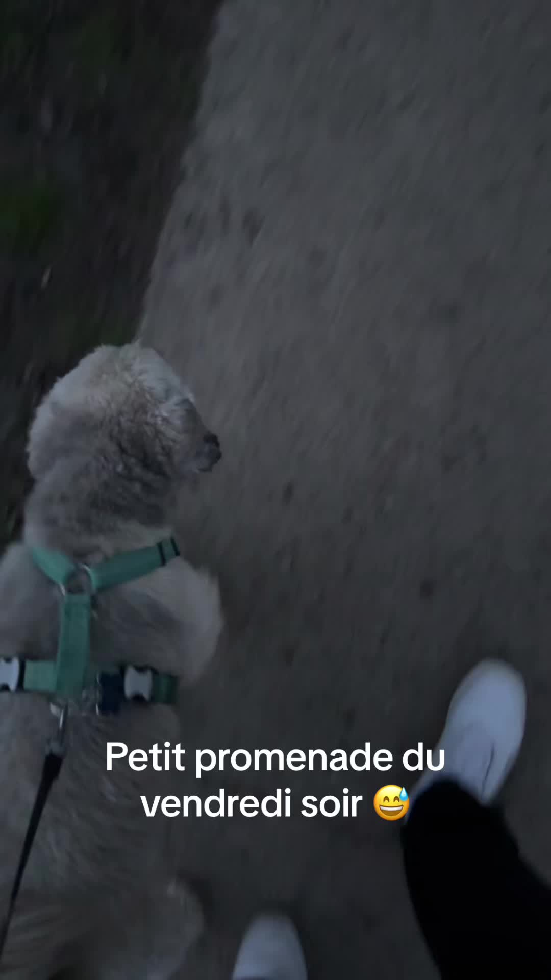 @ToNkY