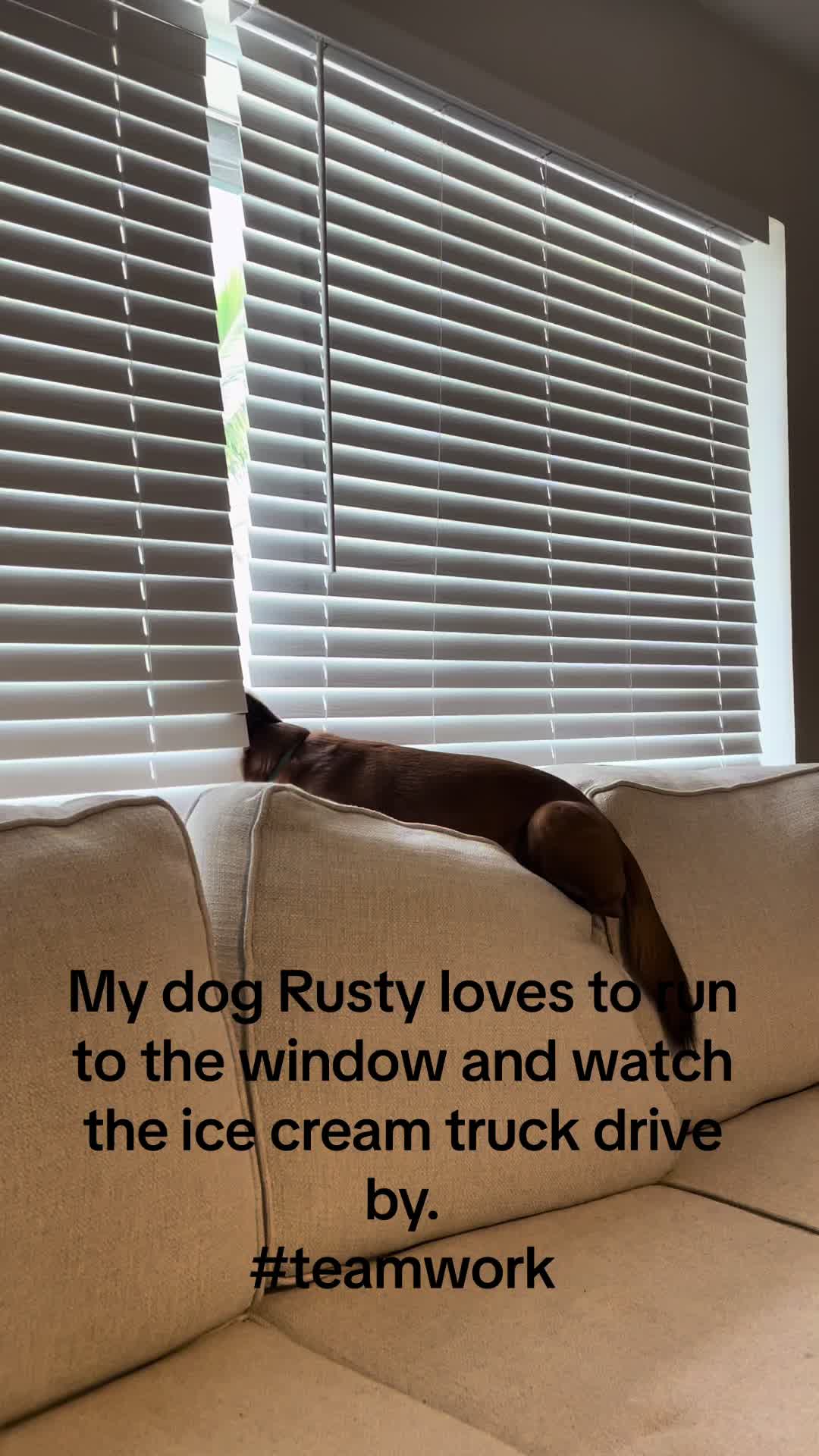 @Rusty