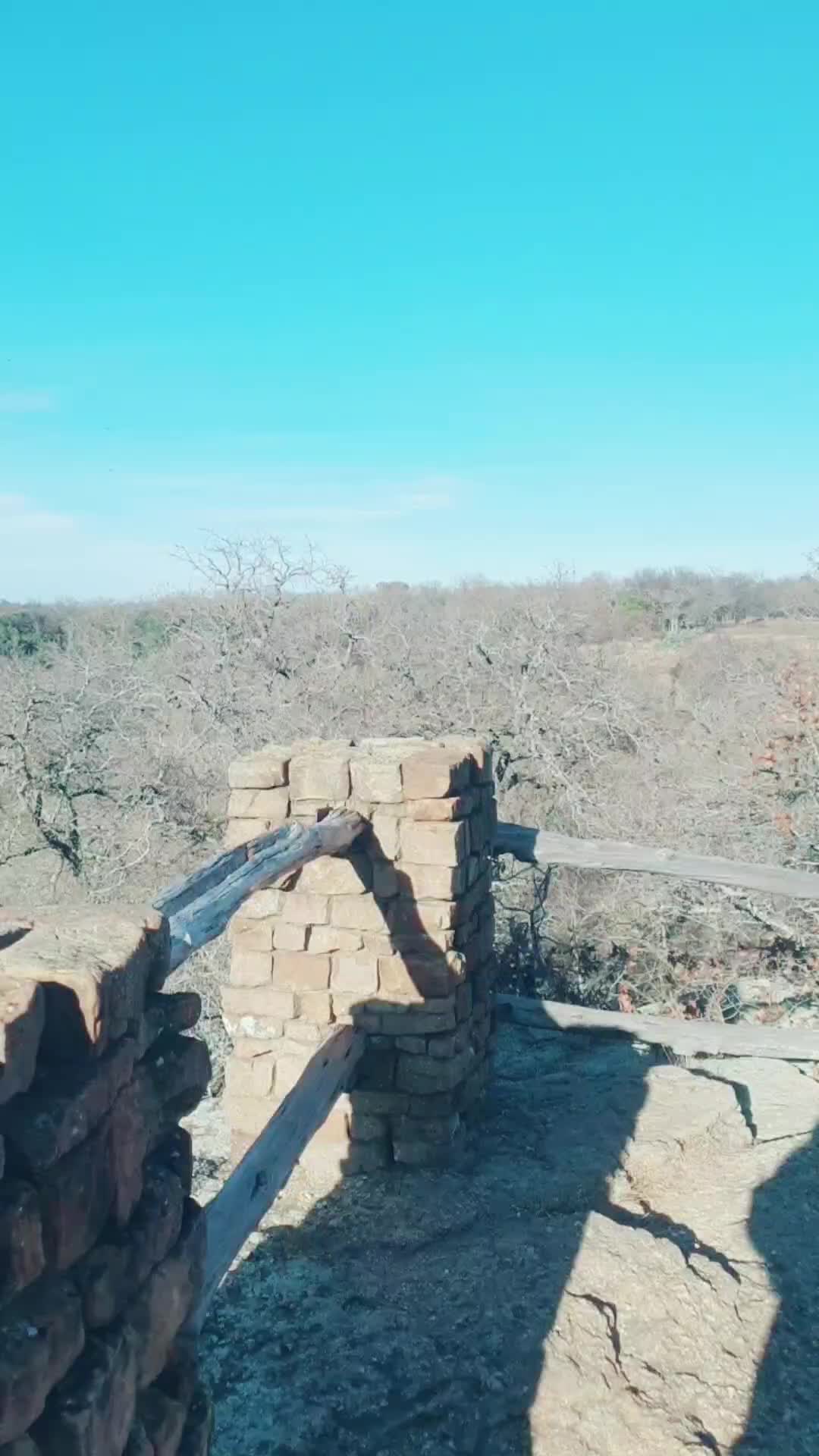 @sangyal016
