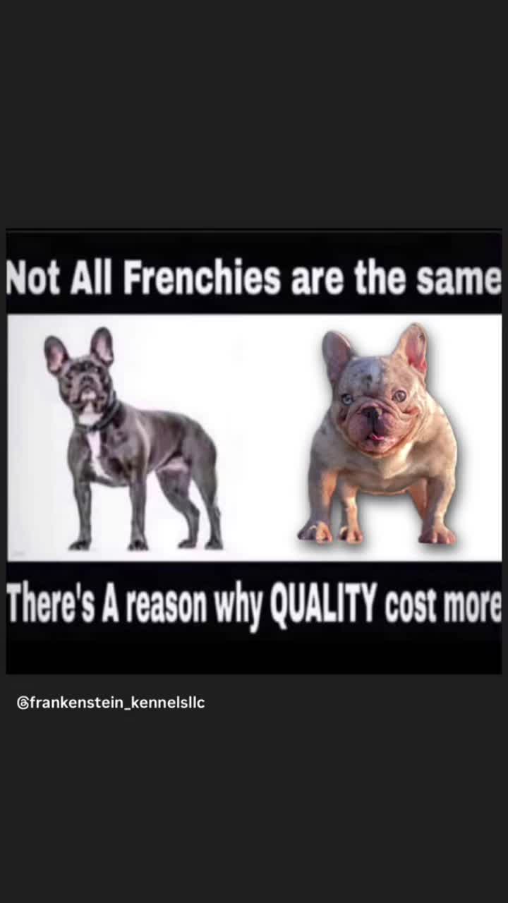 @Frankenstein Kennels