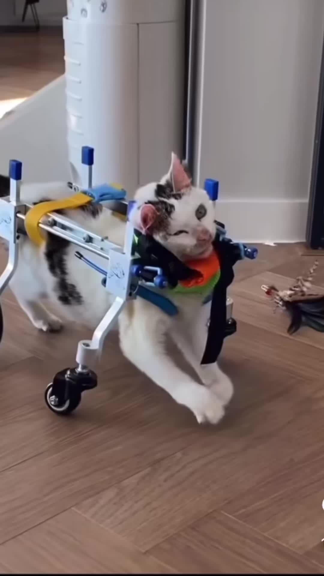 @Mechanical_Triage