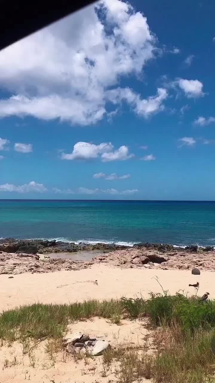 @Areesoco
