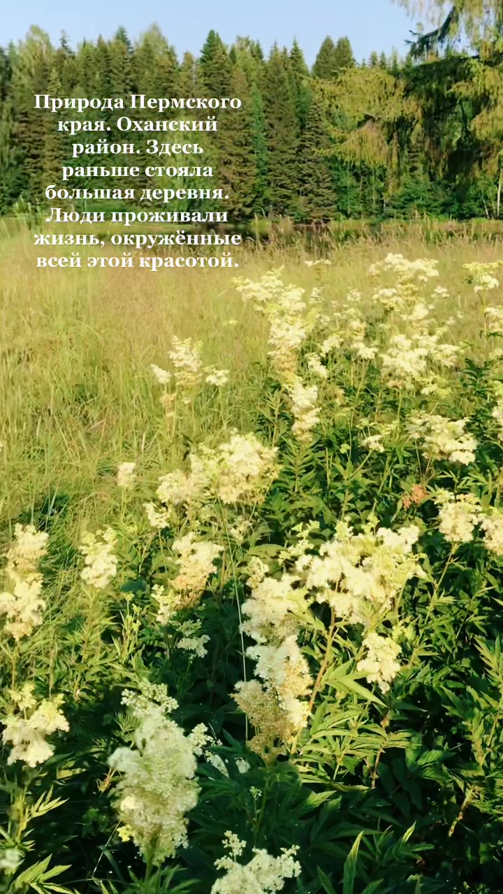 @Мария Носкова