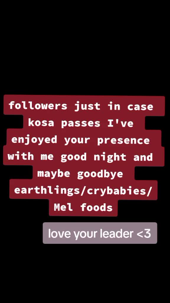 @💖 Melberry Leader 💖