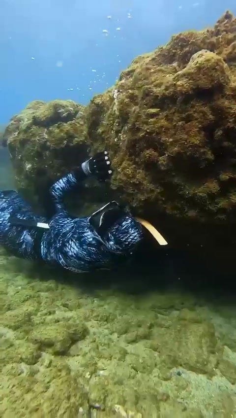 @Chill Diving