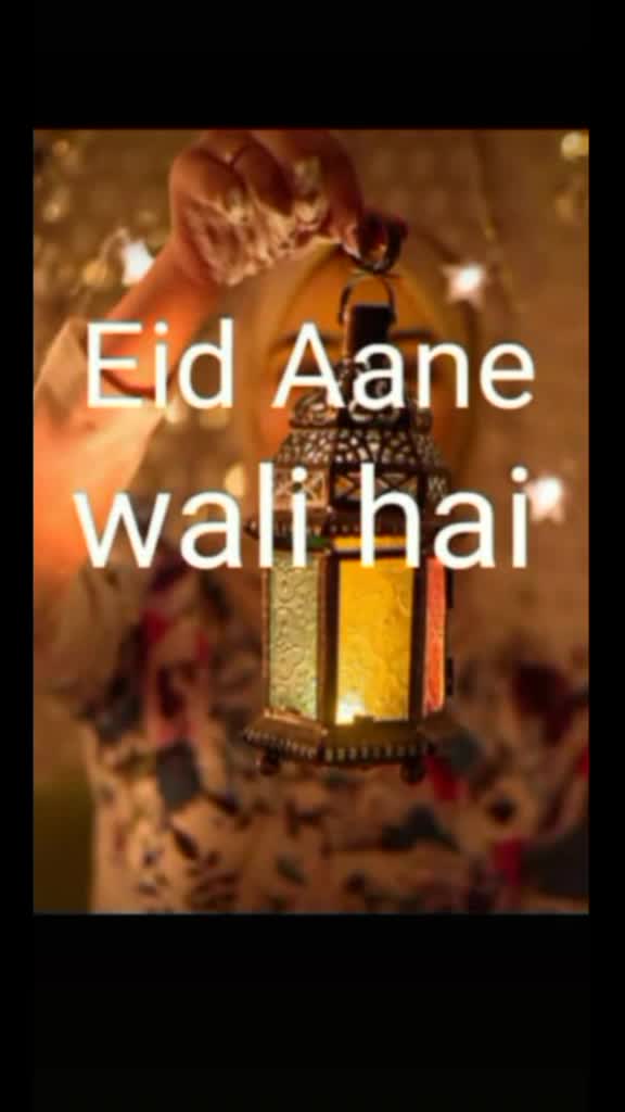 @khushi hassain