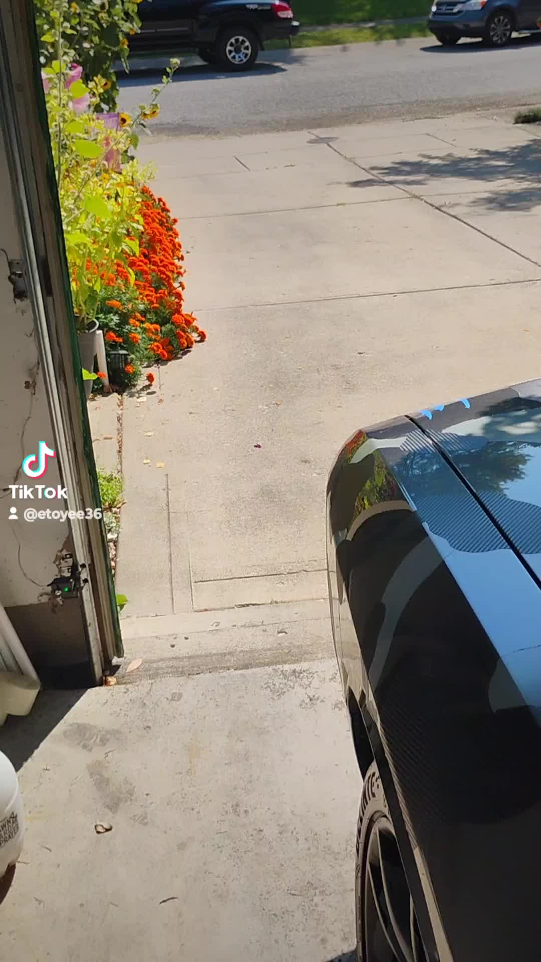 @O.G.