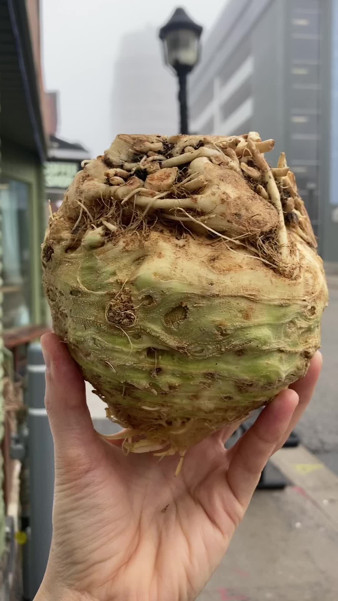 @legacygreens