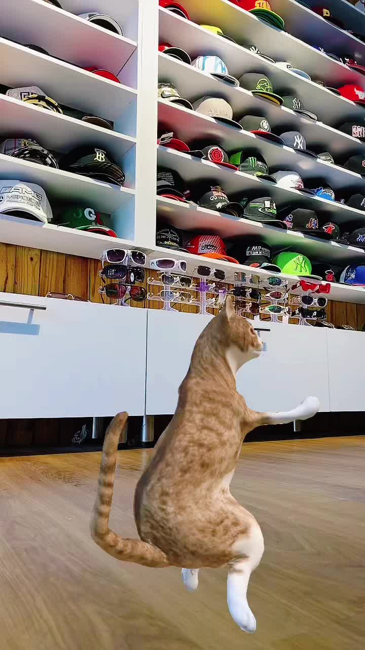 @Master Star Store