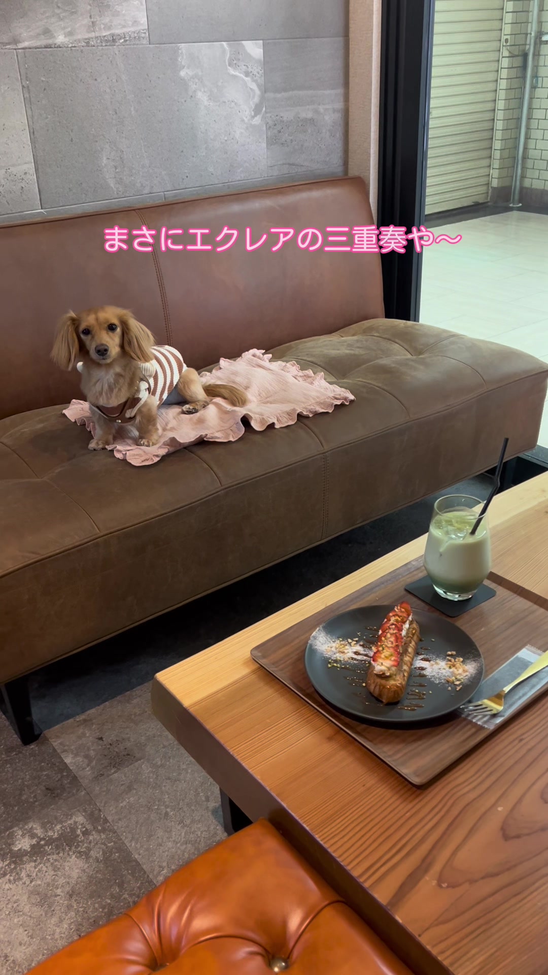 @wanwanカフェ物語