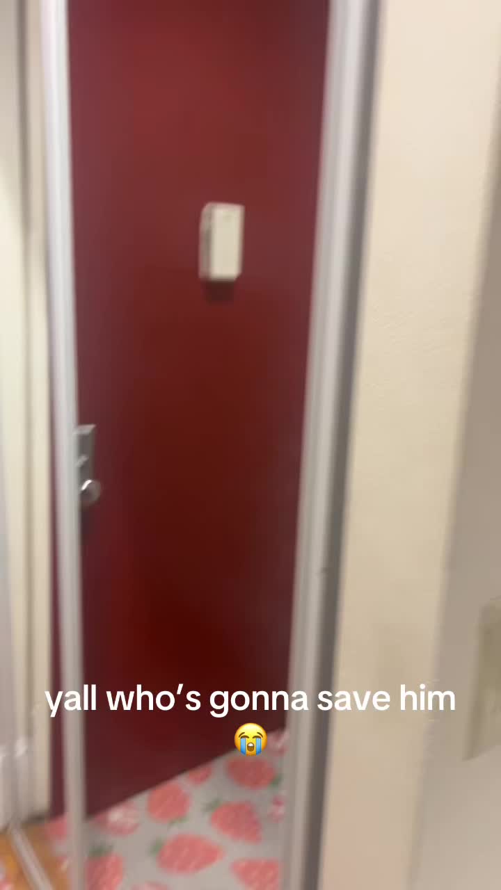 @ava