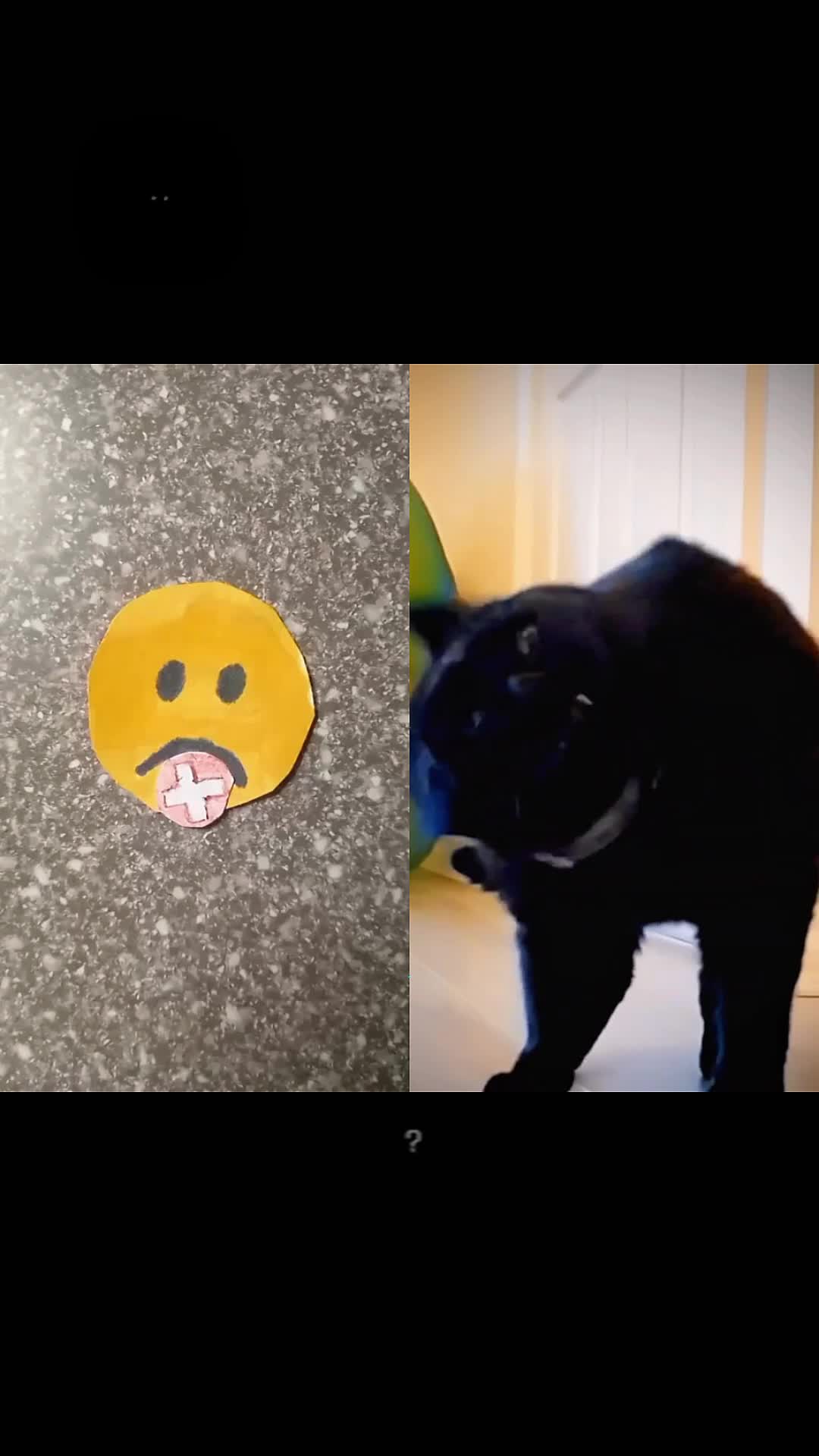 @max5yr