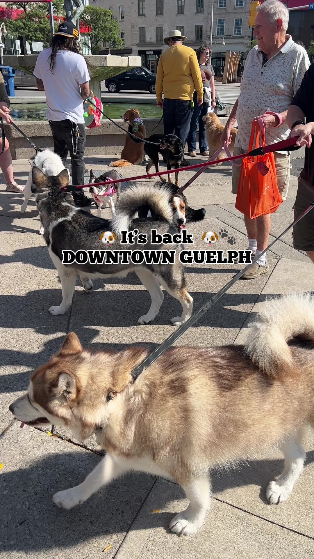 @Downtown Guelph
