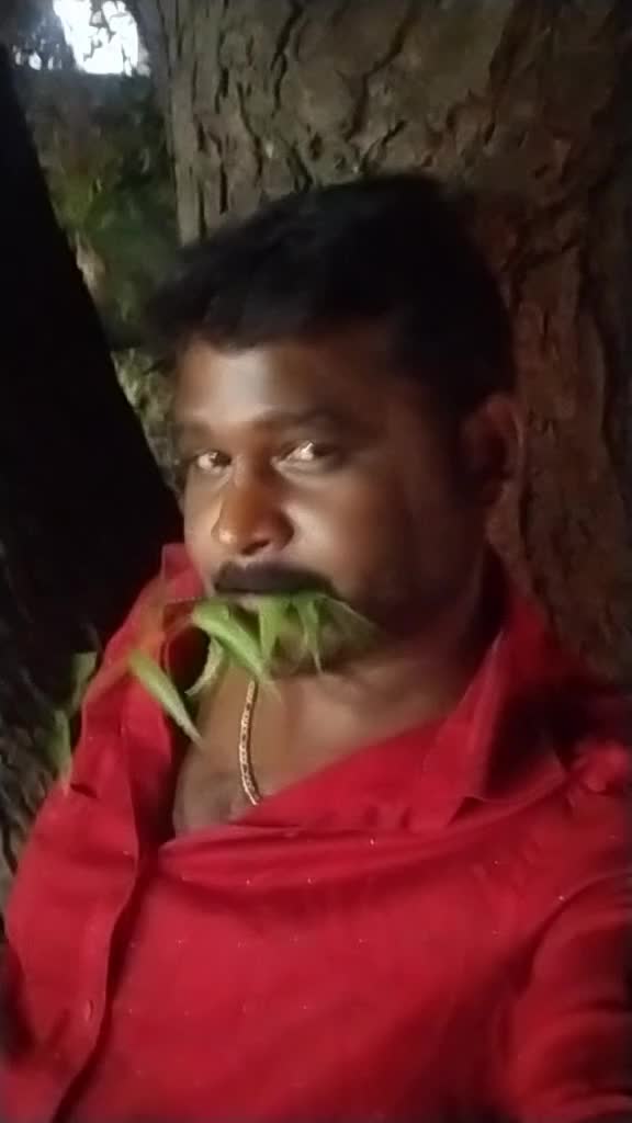 @Babu P🌹🌹🌹🌹