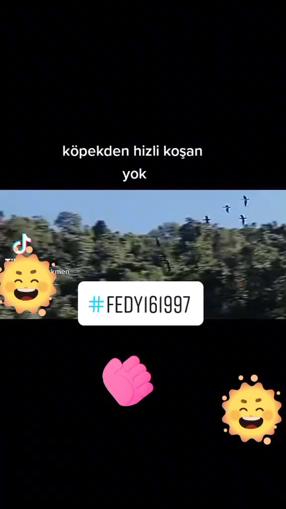 @fedy161997
