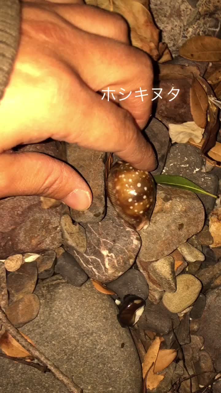 @calm シーグラスと天然石