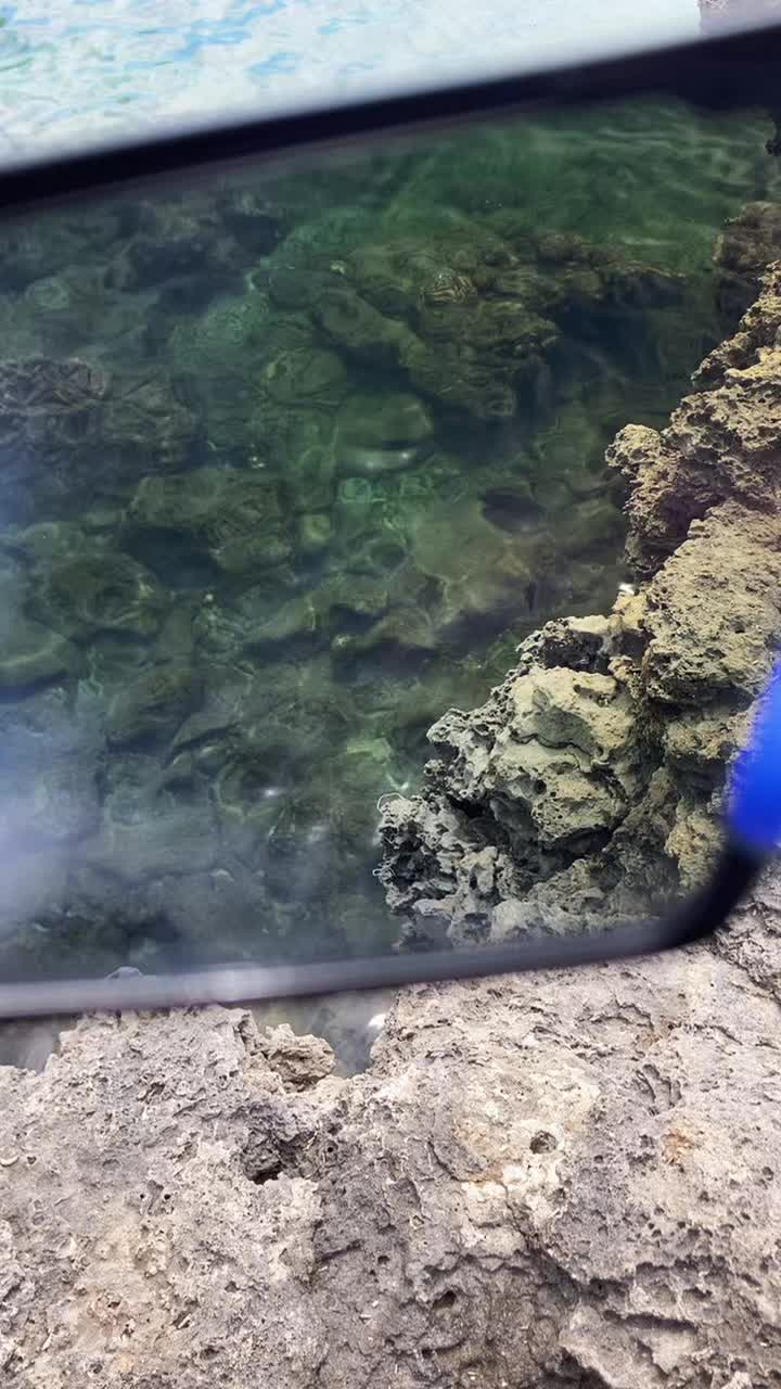 @Kamea