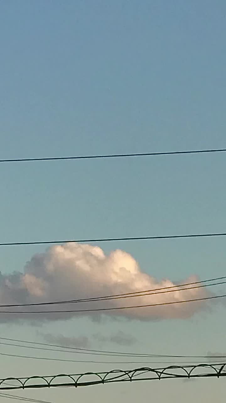 @︎︎