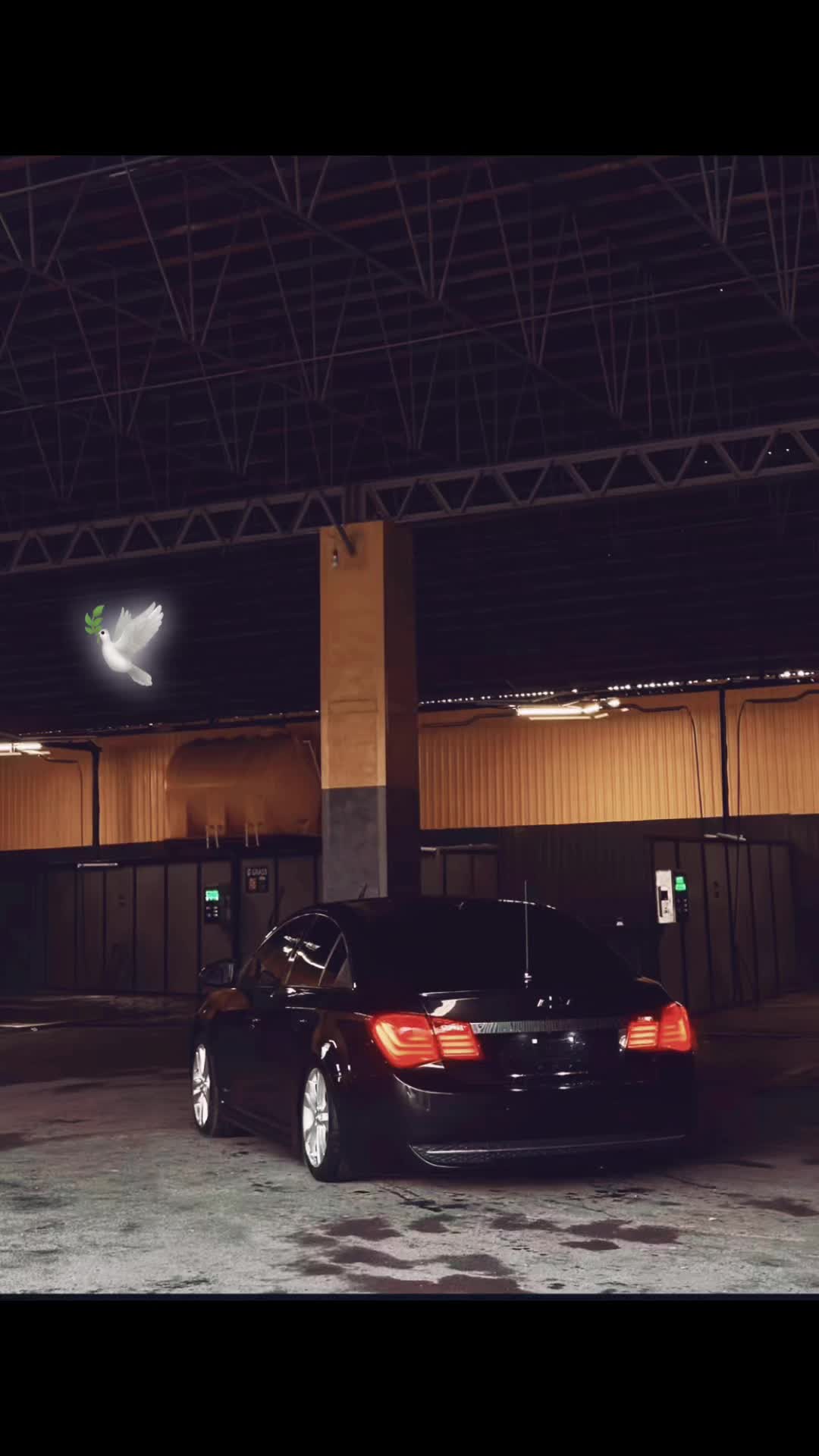 @🔗🕊️