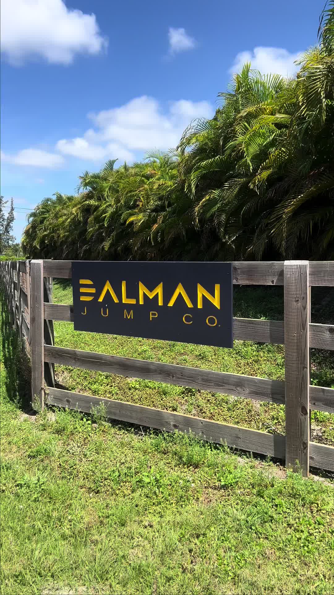 @Dalman Jump Co