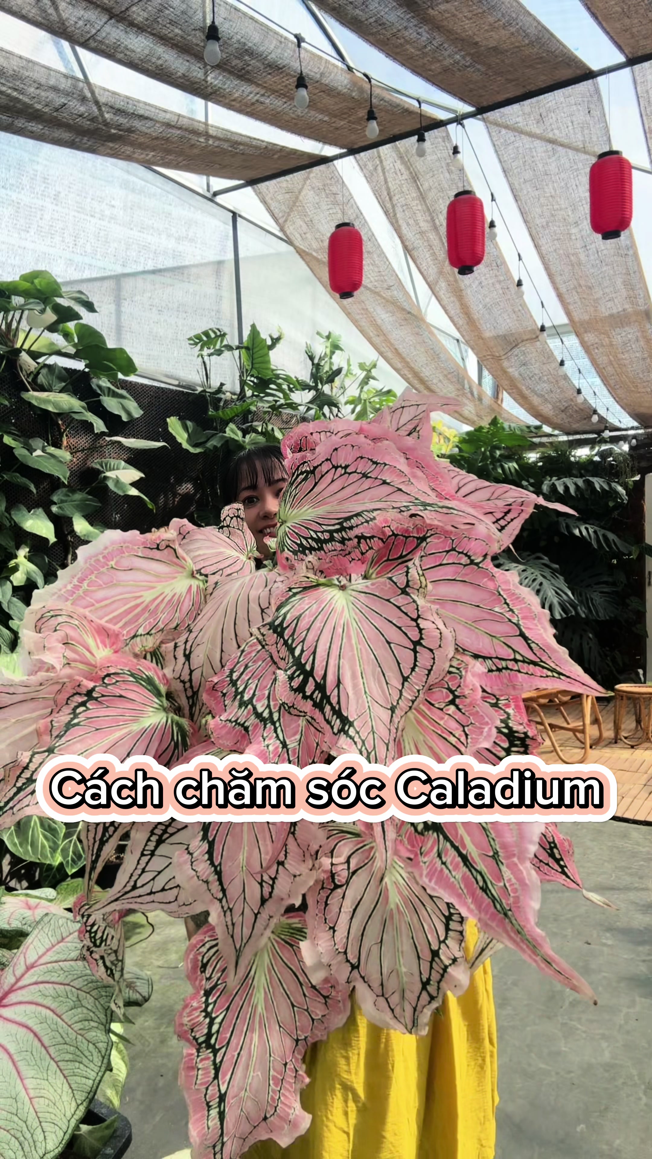 @Vườn Hồ H&acirc;n