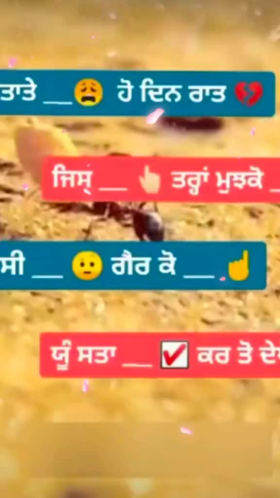 @🌹sai ji De diwane🌹