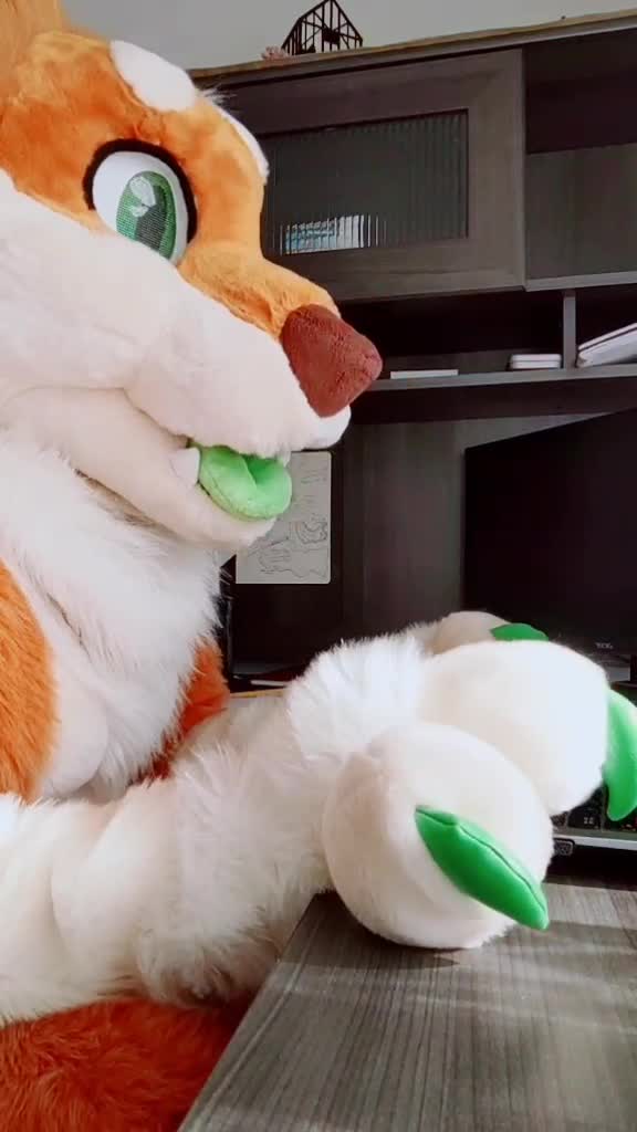 @CookieShiba